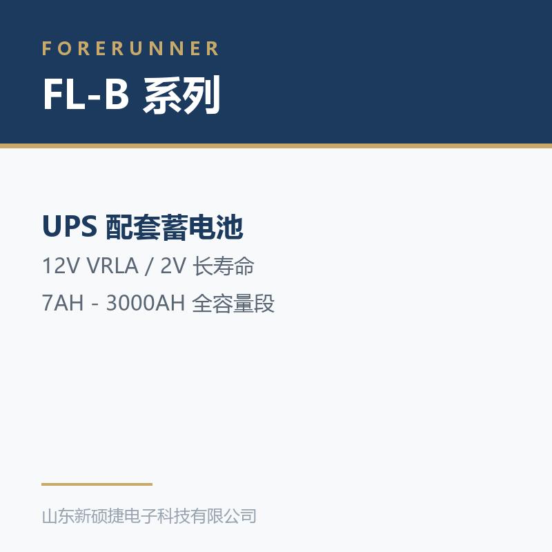 FL-B 系列 12V 阀控式铅酸蓄电池(淄博沂源县UPS电源)