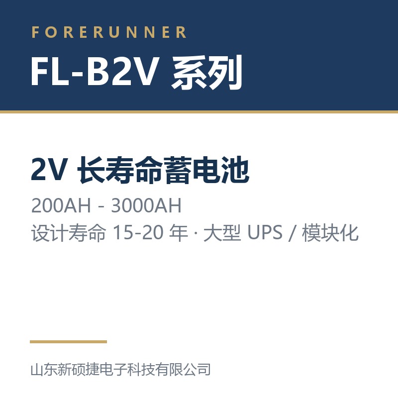 FL-B2V 系列 2V 长寿命蓄电池（淄博沂源县UPS电源）